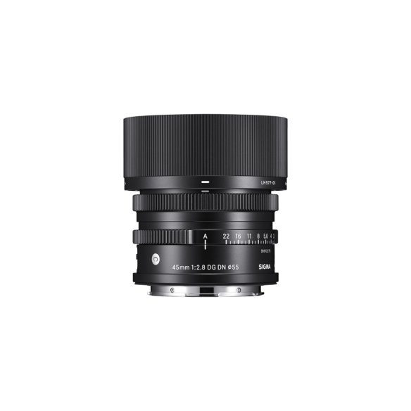 45mm F2.8 DG DN | C