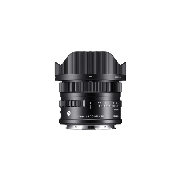 17mm F4 DG DN | C