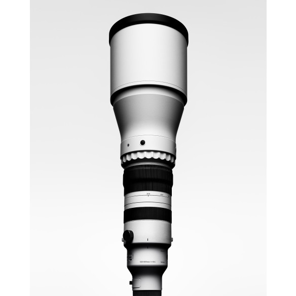 300-600mm F4 DG OS | S 