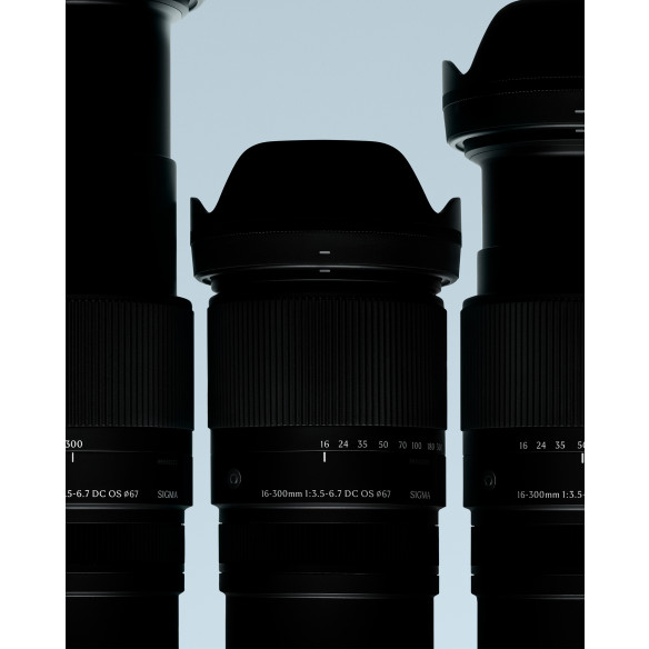 16-300mm F3.5-6.7 DC OS | C