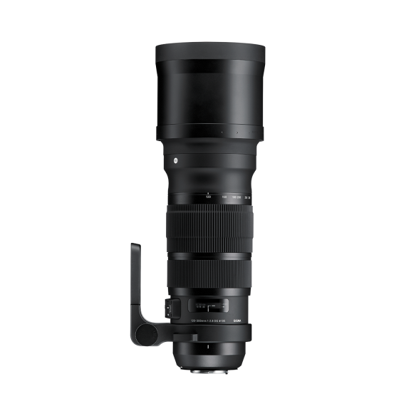 120-300mm F2.8 DG OS HSM | S
