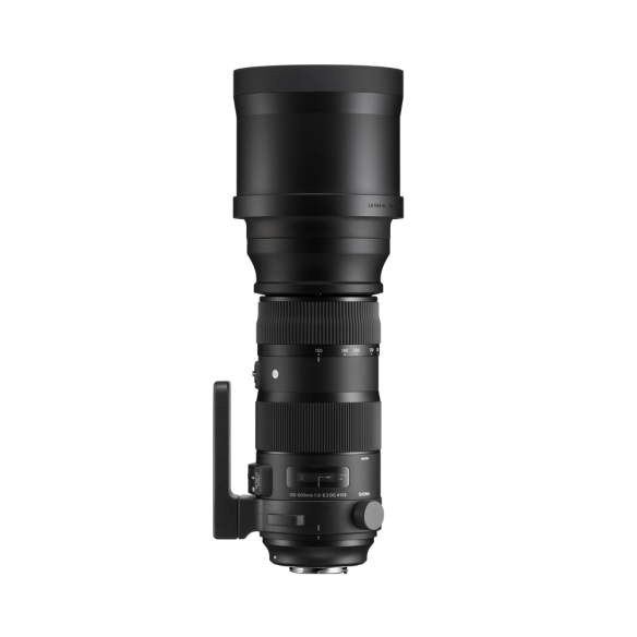 150-600mm F5-6.3 DG OS HSM | S + TC-1401 1.4x Teleconverter
