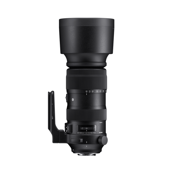 60-600mm F4.5-6.3 DG OS HSM | S