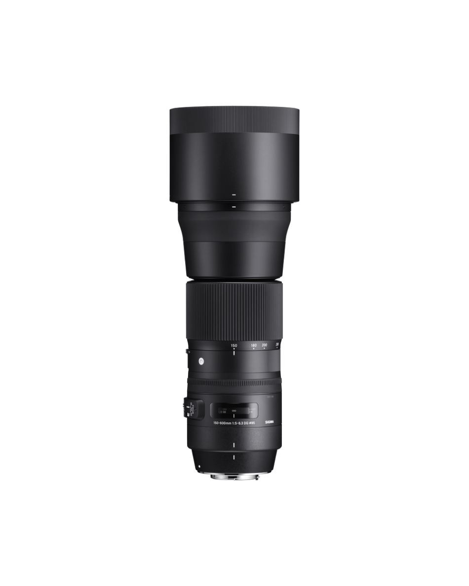 SIGMA 150-600mm Contemporary Fマウント用 SIGMA 150-600mm F5-6.3 DG OS HSM | Contemporary | SIGMA