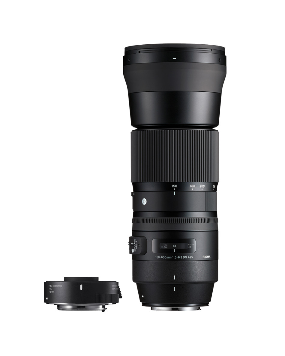 SIGMA C 150-600mm F5-6.3 DG 1.4xテレコン付き SIGMA 150-600mm Contemporary + TC-1401 1.4x Teleconverter