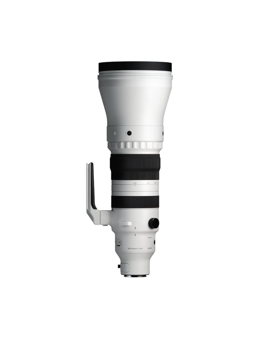 Sigma Apo Sigma 800mm Nikon Test Sigma 800mm Lens Sigma 800mm D EX