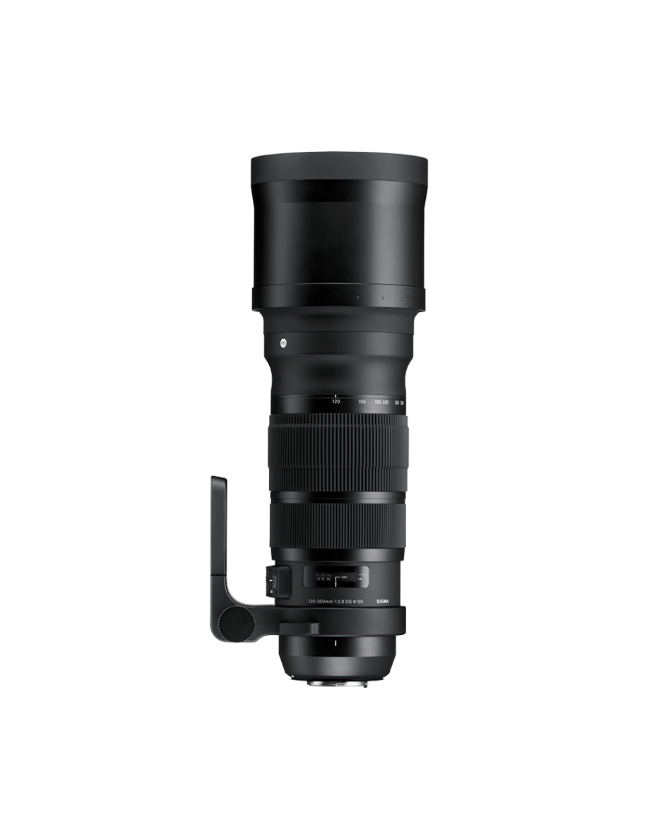 SIGMA 120-300mm F2.8 DG OS HSM | Sports | SIGMA Corporation