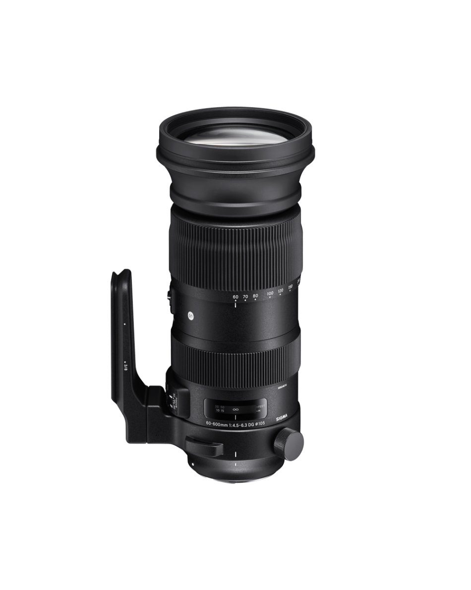 SIGMA - 新同美品 SIGMA 60-600mm DG OS Canon キャノン用 Sigma 60-600mm f/4.5-6.3 DG OS HSM Sports Lens (Canon EF) 730954