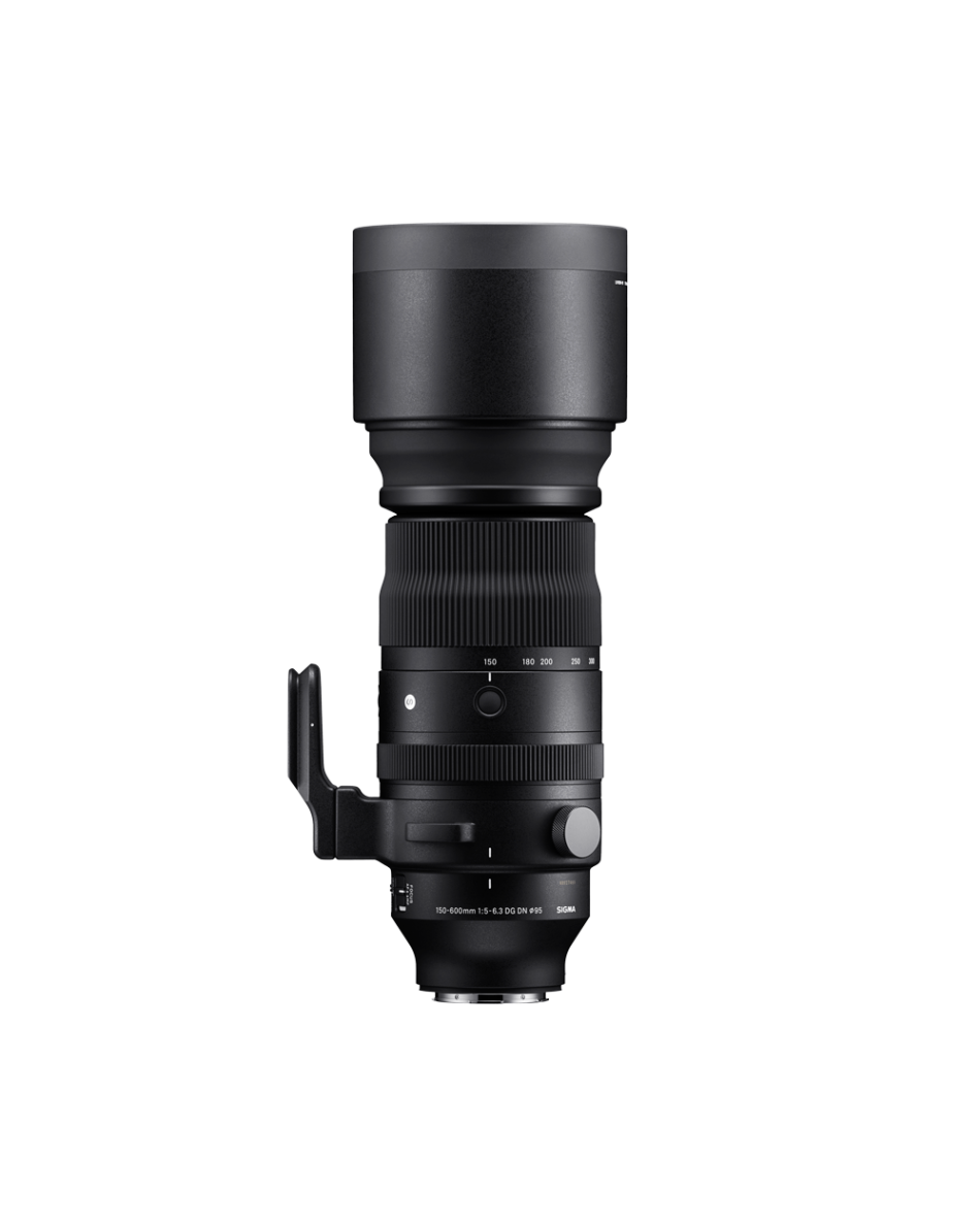 レンズ(ズーム) SIGMA 150-600 Contemporary F5-6.3 DG 150-600mm F5-6.3 DG OS HSM | Contemporary | レンズ | 製品