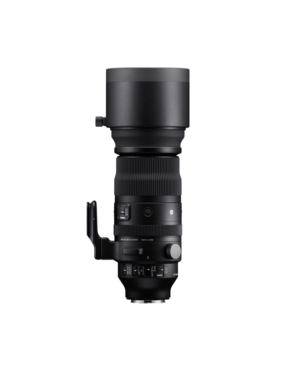 SIGMA 150-600mm F5-6.3 DG DN OS [ソニーE用] SIGMA 150-600mm F5-6.3 DG DN OS | Sports | SIGMA Corporation