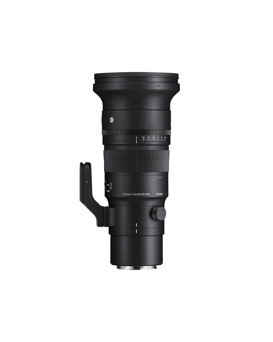 SIGMA 500mm F5.6 DG DN OS | Sports | SIGMA Corporation of America
