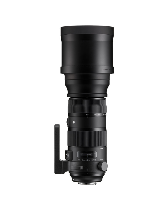 SIGMA 150-600mm F5-6.3 DG OS HSM | Sports | SIGMA