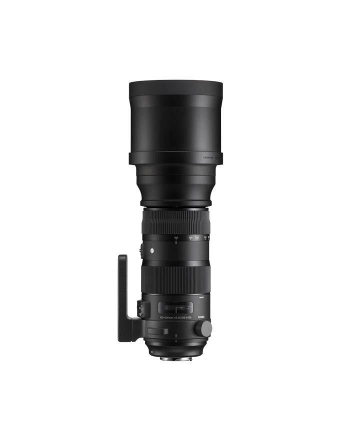 SIGMA 150-600mm F5-6.3 DG OS HSM | Sports | SIGMA