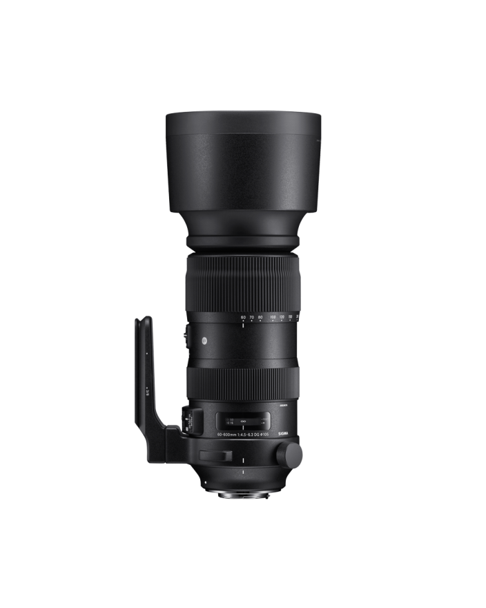 SIGMA 60-600mm F4.5-6.3 DG OS HSM | Sports | SIGMA