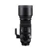 SIGMA 150-600mm F5-6.3 DG DN OS | Sports | SIGMA Corporation of