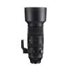 SIGMA 60-600mm F4.5-6.3 DG DN OS | Sports | SIGMA Corporation of