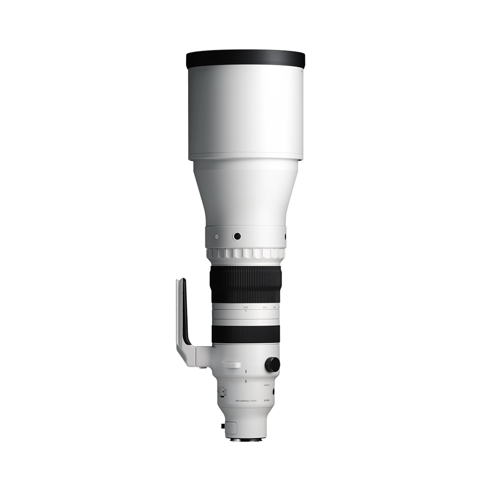 300-600mm F4 DG OS | S