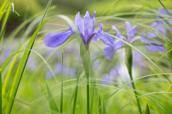 28-45mm F1.8 DG DN | A