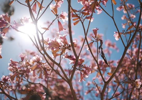 28-45mm F1.8 DG DN | A