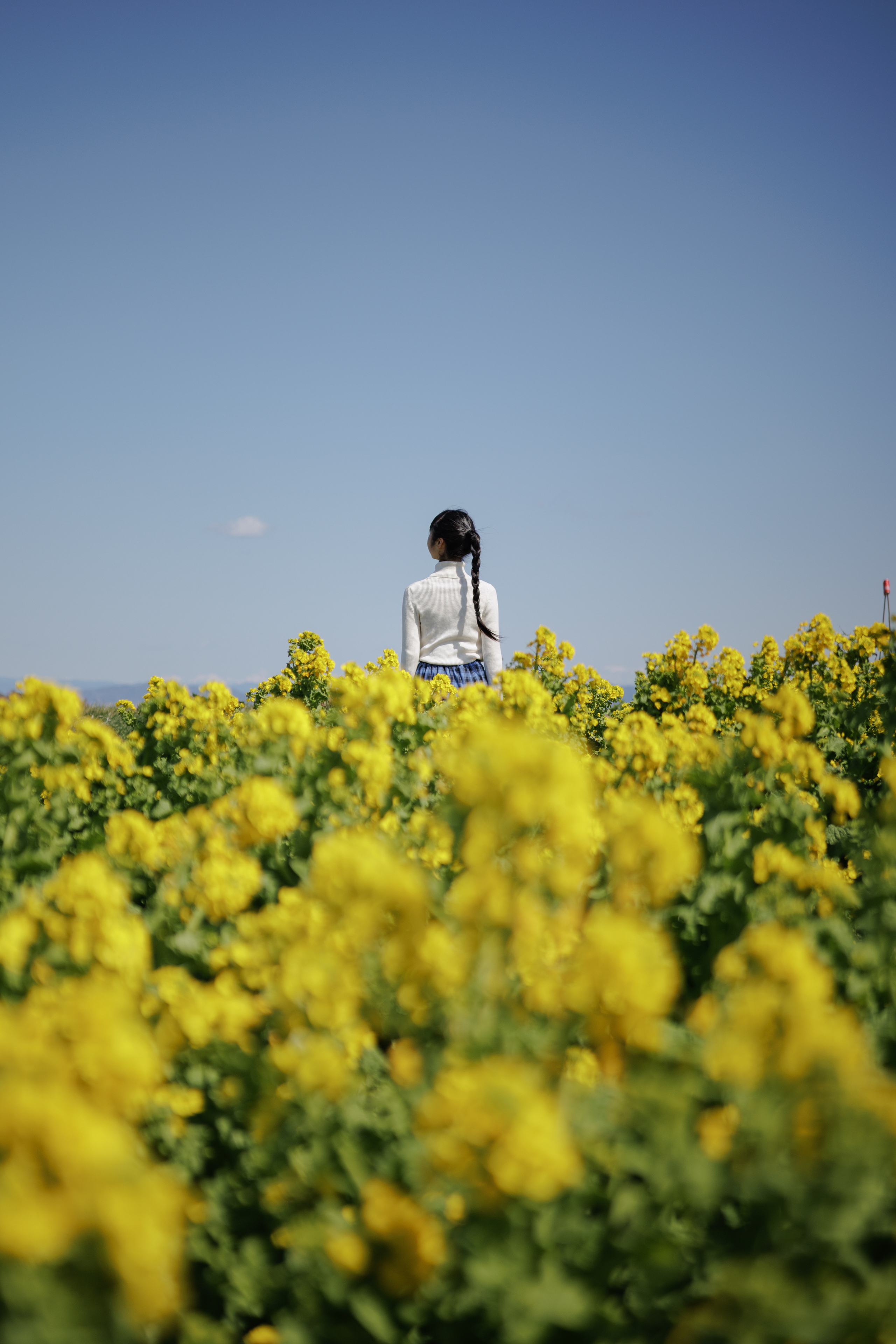 EtsukoAimu_ExamplePhoto_012-Person_in_yellow_flower_field.jpg
