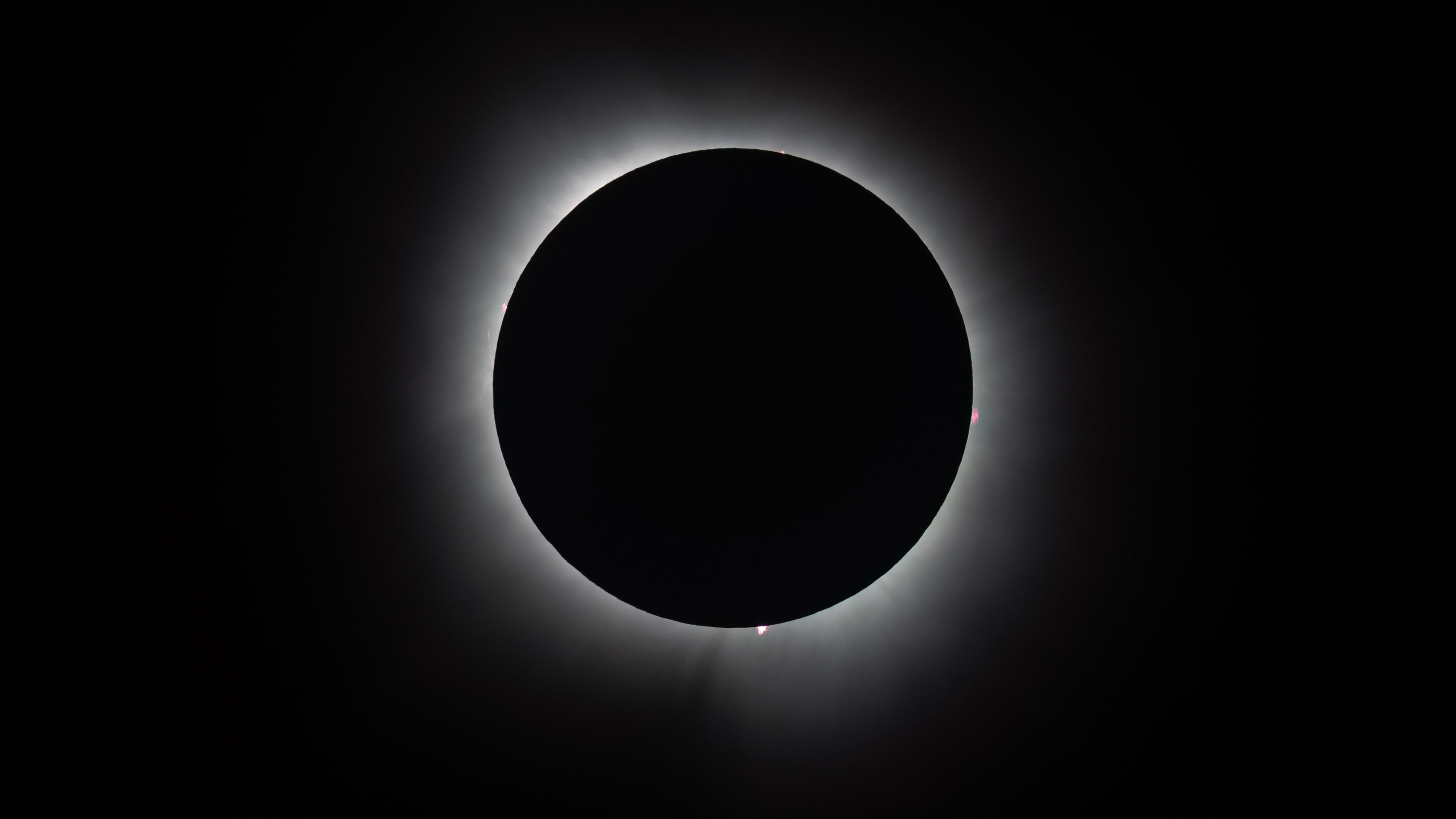 S_Koepnick_500mm_DGDN__002.jpg