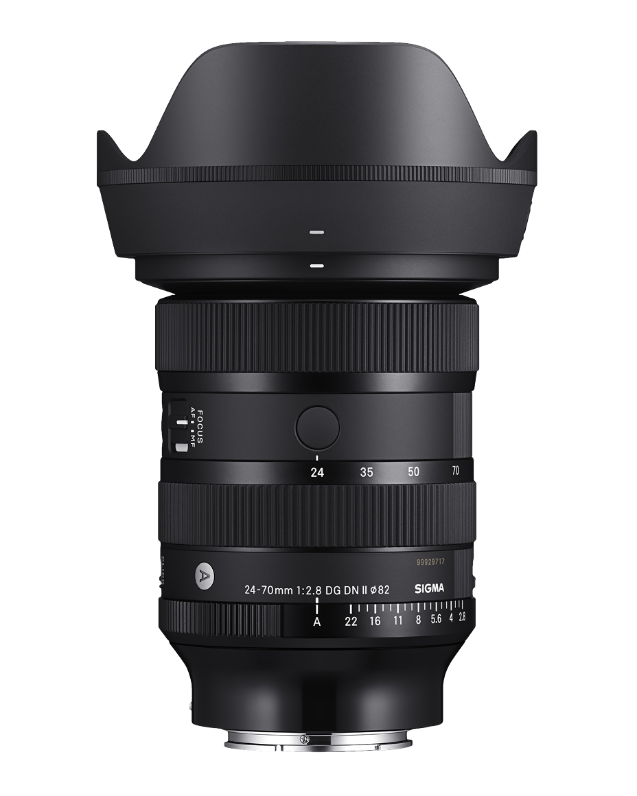 Art 24-70mm F2.8 DG DN II