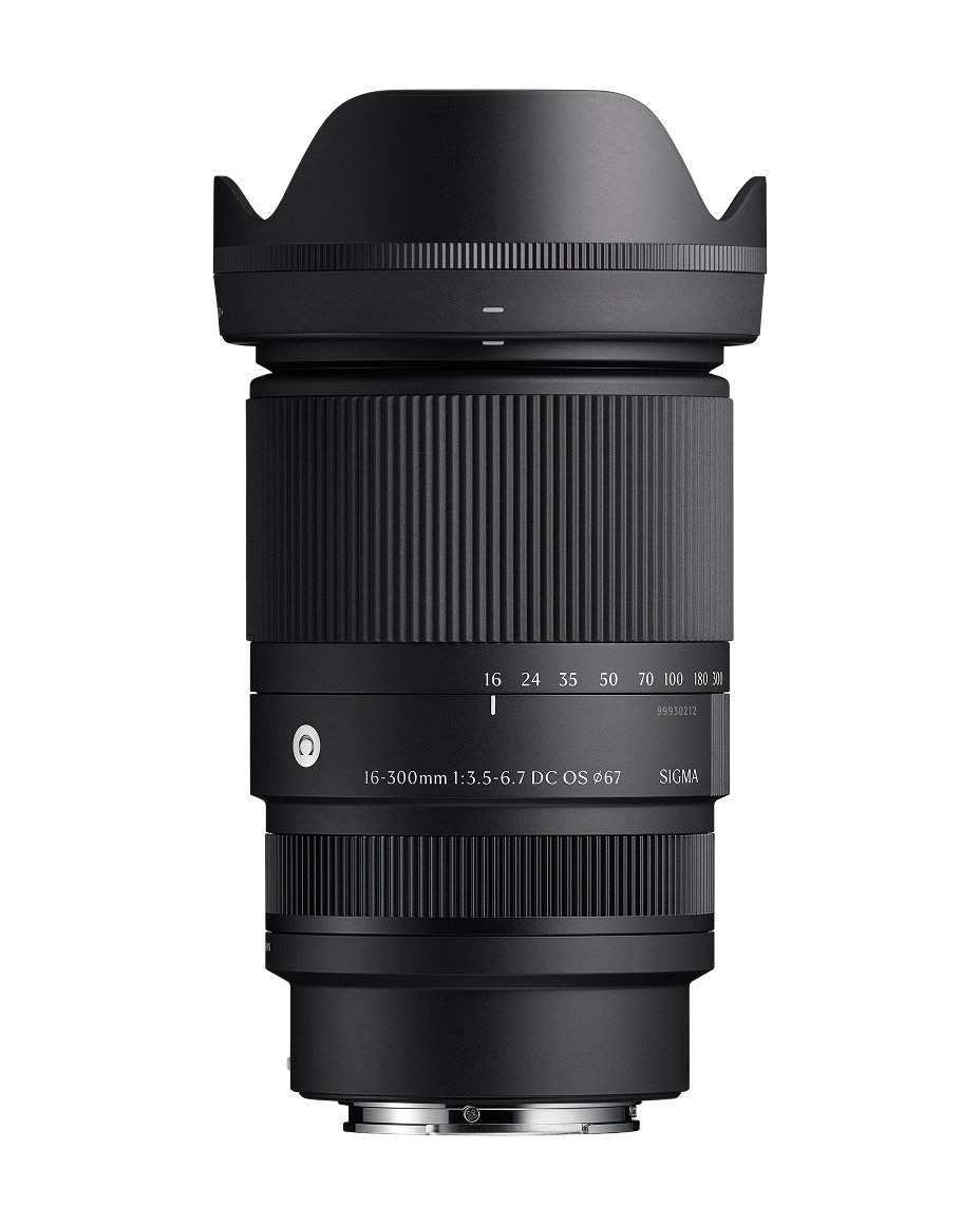 Contemporary 16-300mm F3.5-6.7 DC OS